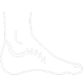 Rearfoot Surgery icon